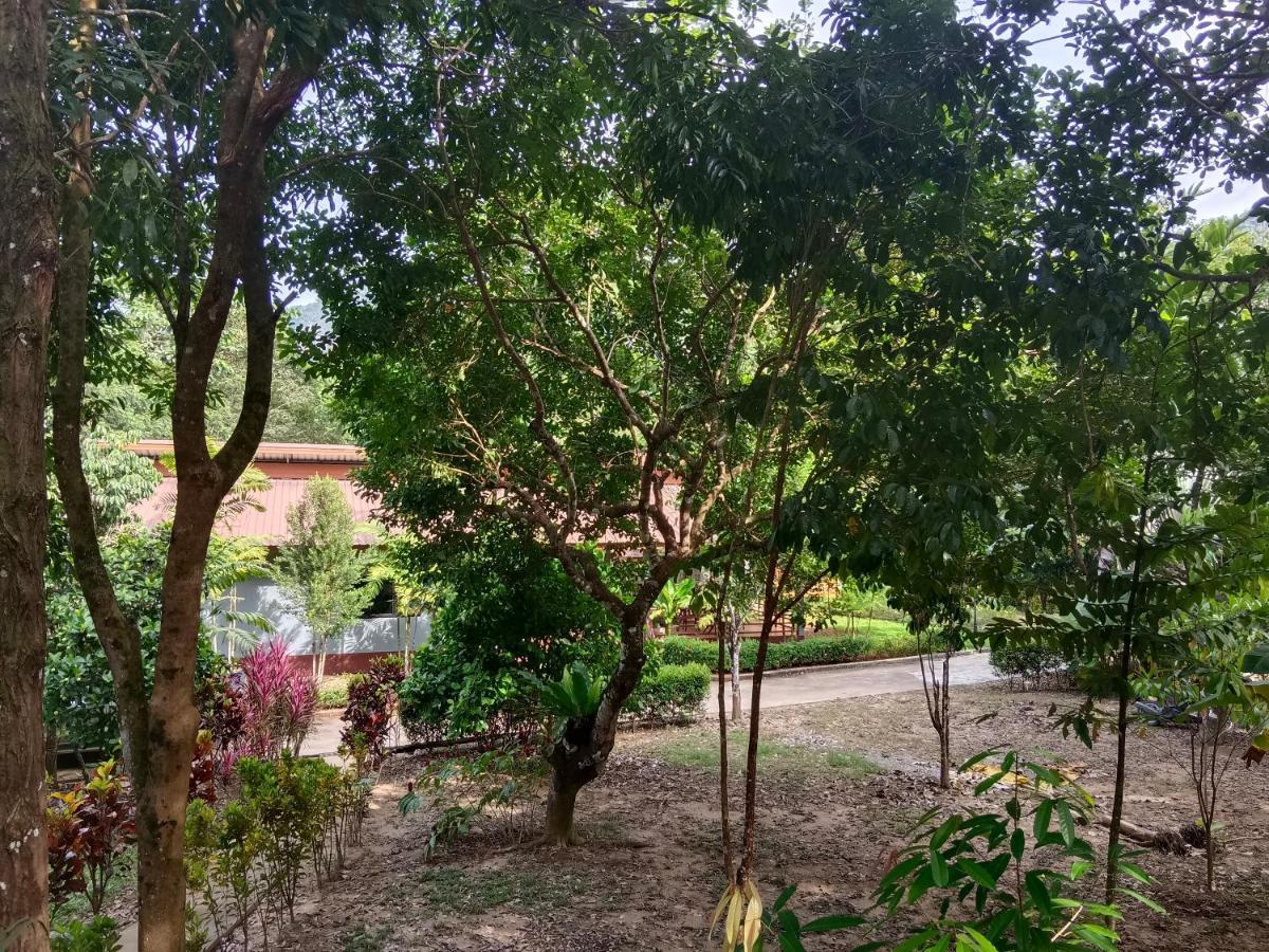 Khao Sok River & Jungle Bungalow Khao Sok National Park Εξωτερικό φωτογραφία